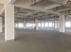 港閘區 辦公 倉庫 廠房 招租 可整租 可分割 有食堂超市